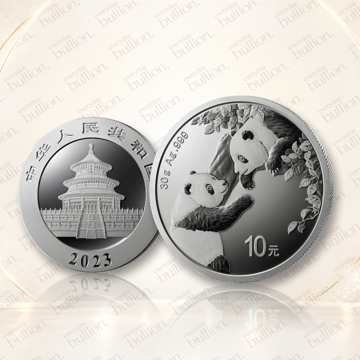 Chinese Panda 2023 30g .999 Silver 10 Yuan BU Coin in Capsule