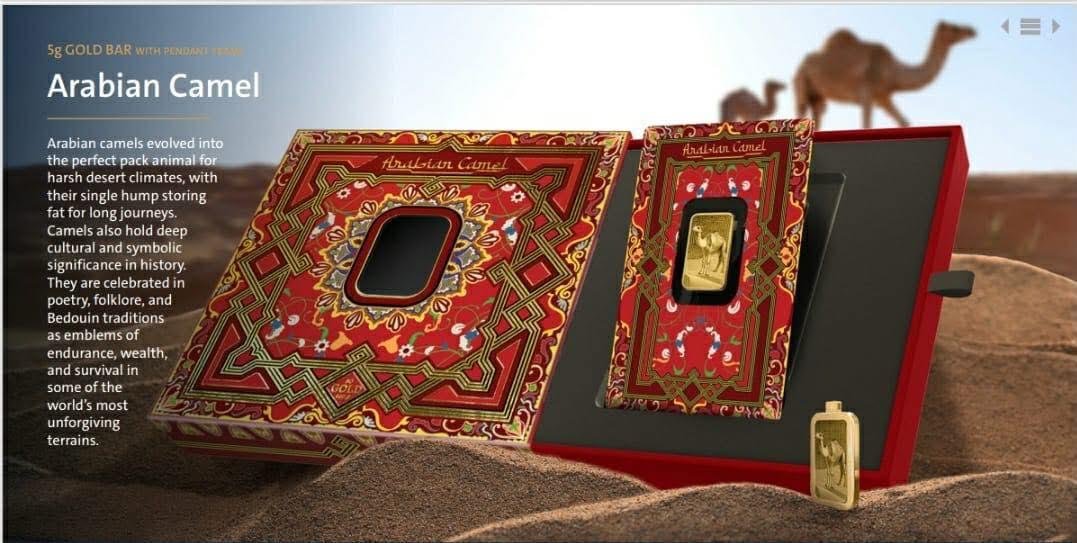 PAMP - Arabian Camel (March 2026 Pre-order)