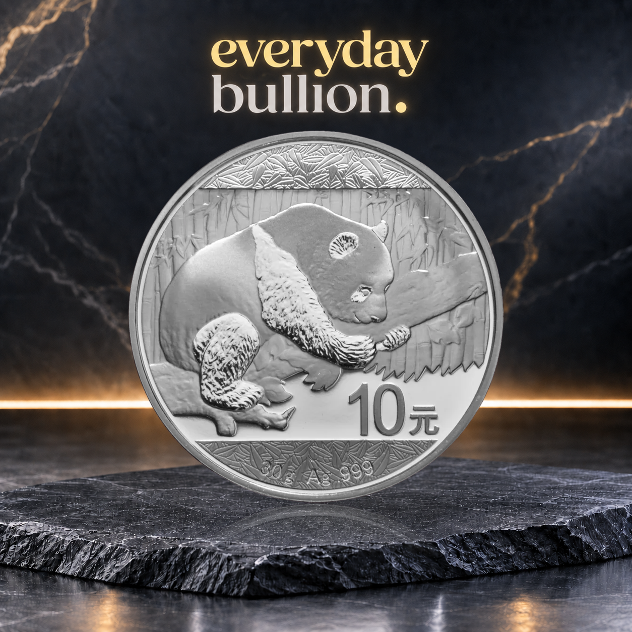 2016 Chinese Silver Panda 10 Yuan 30g .999 Silver Bullion Coin – Shenzhen Guobao Mint