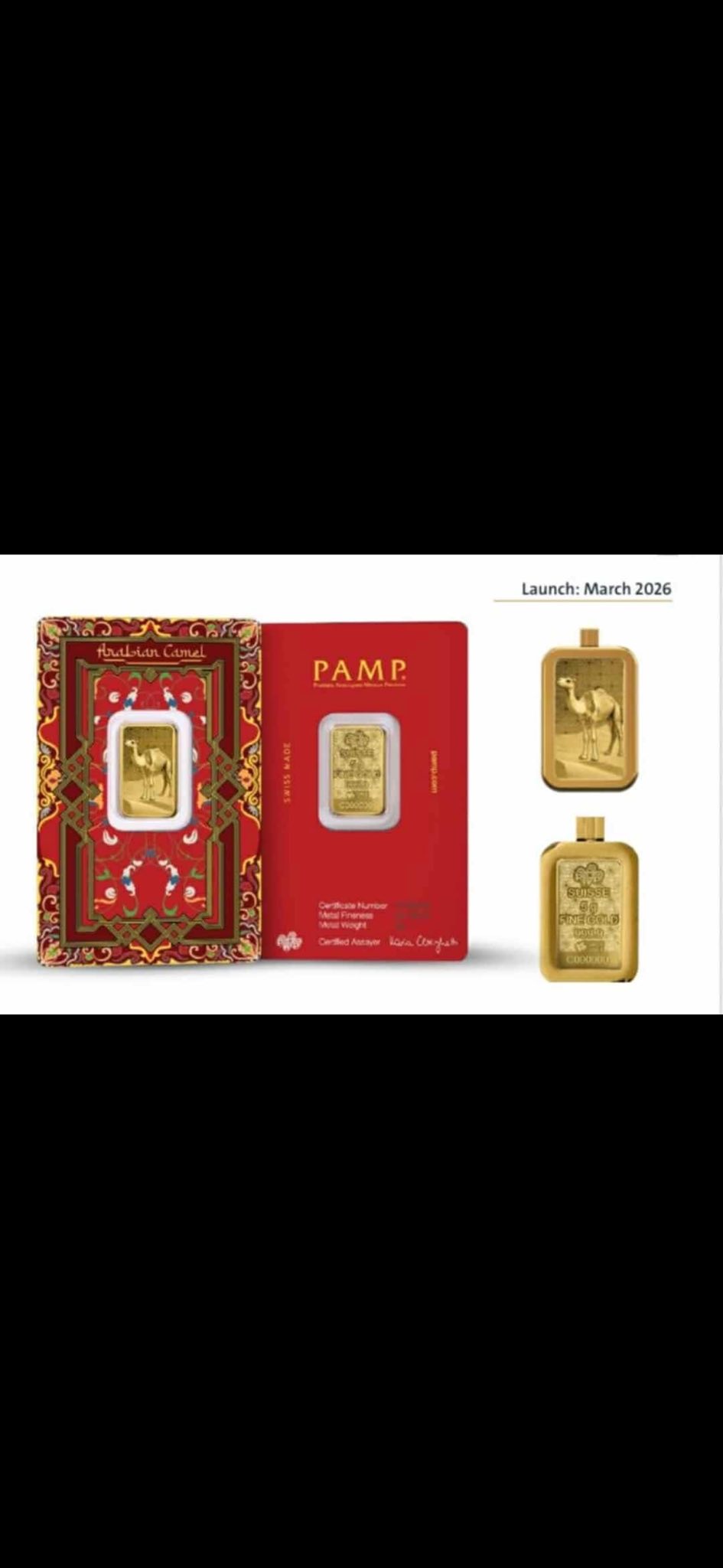PAMP - Arabian Camel (March 2026 Pre-order)
