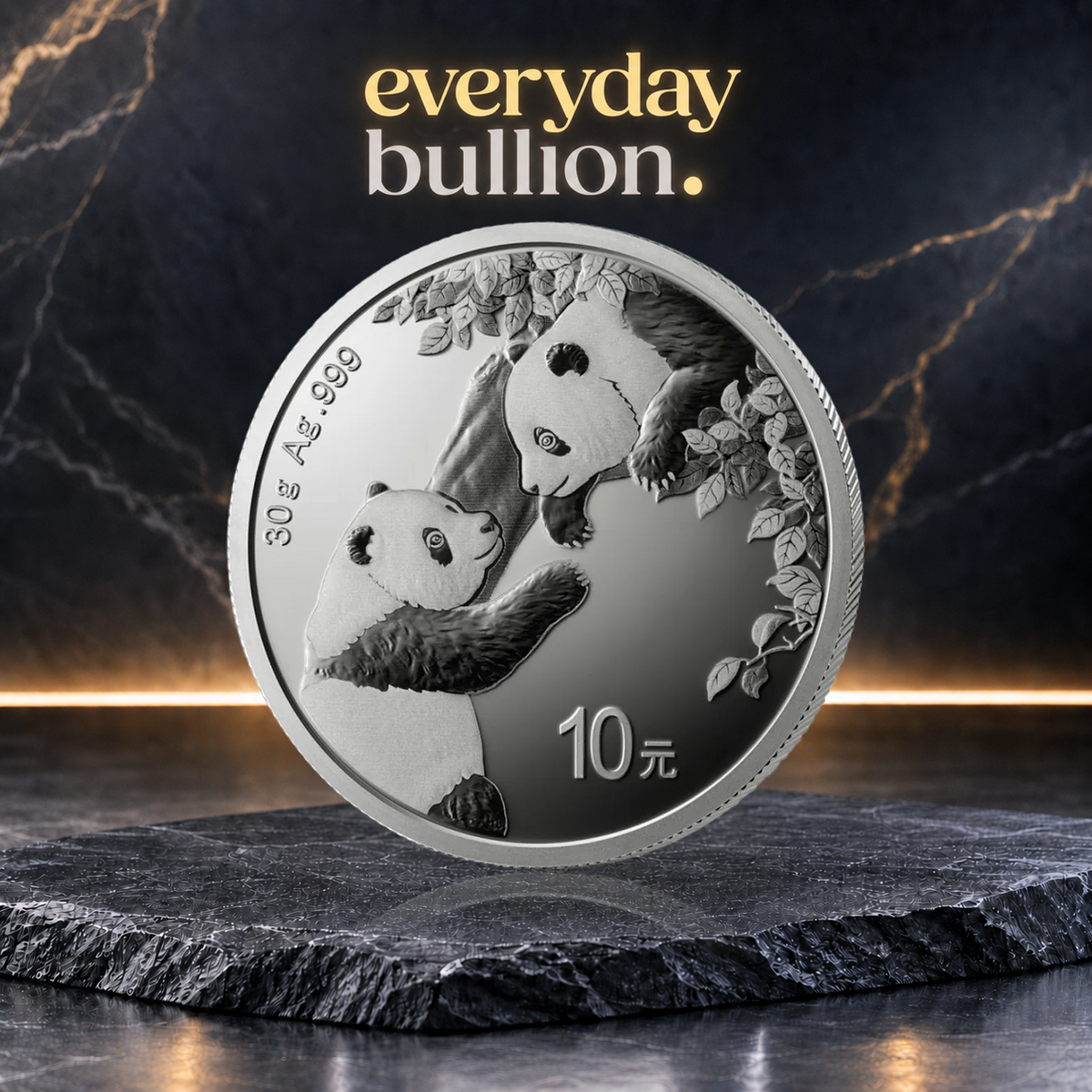 Chinese Panda 2023 30g .999 Silver 10 Yuan BU Coin in Capsule
